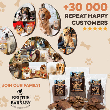 BRUTUS & BARNABY Beef Lung Bites for Dogs - 100% Single Ingredient Dog Treat Made in USA - Protein Packed, Crunchy, Healthy Dog Treats - Grain Free, Rawhide Free, No Additives