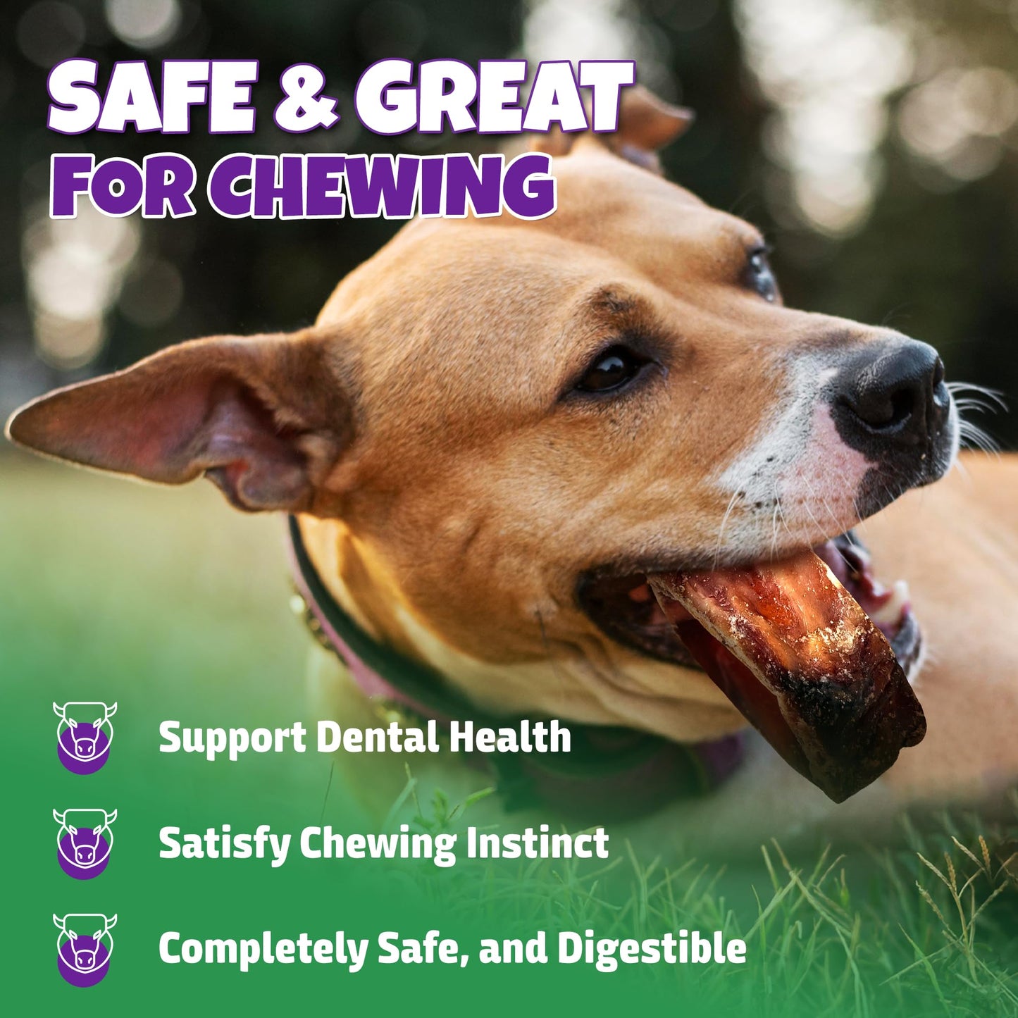 Lively Tails Trachea Dog Chews 15-Pack, 100% Bison Dog Treats, Natural Glucosamine & Chondroitin for Hip and Joint Support, Grain-Free, Rawhide-Free, Low-Fat Trachea for Dogs, 12 oz Bag