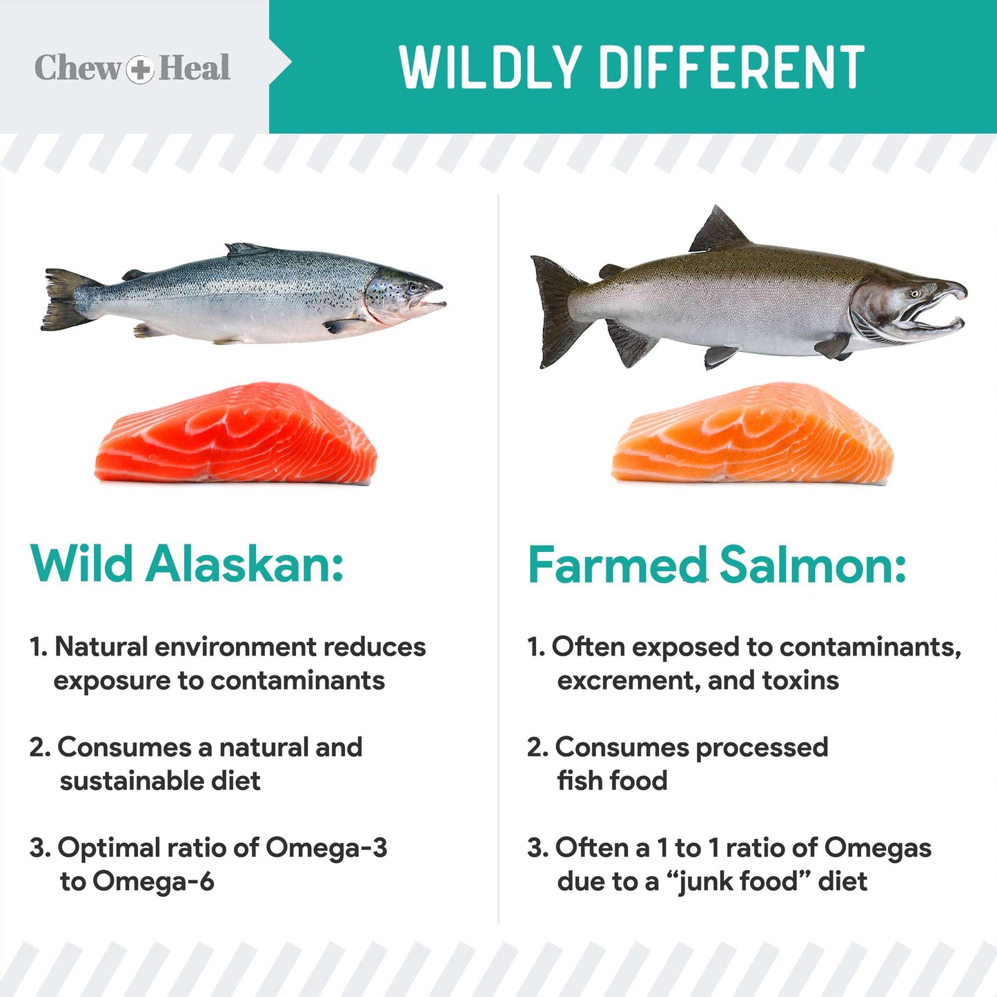Chew + Heal Labs Probiotic Salmon Jerky Dog Treats - Wild Caught Alaskan Salmon Jerky for Digestive Health with Apples, Pumpkin, Pea Protein, and More - Made in The USA