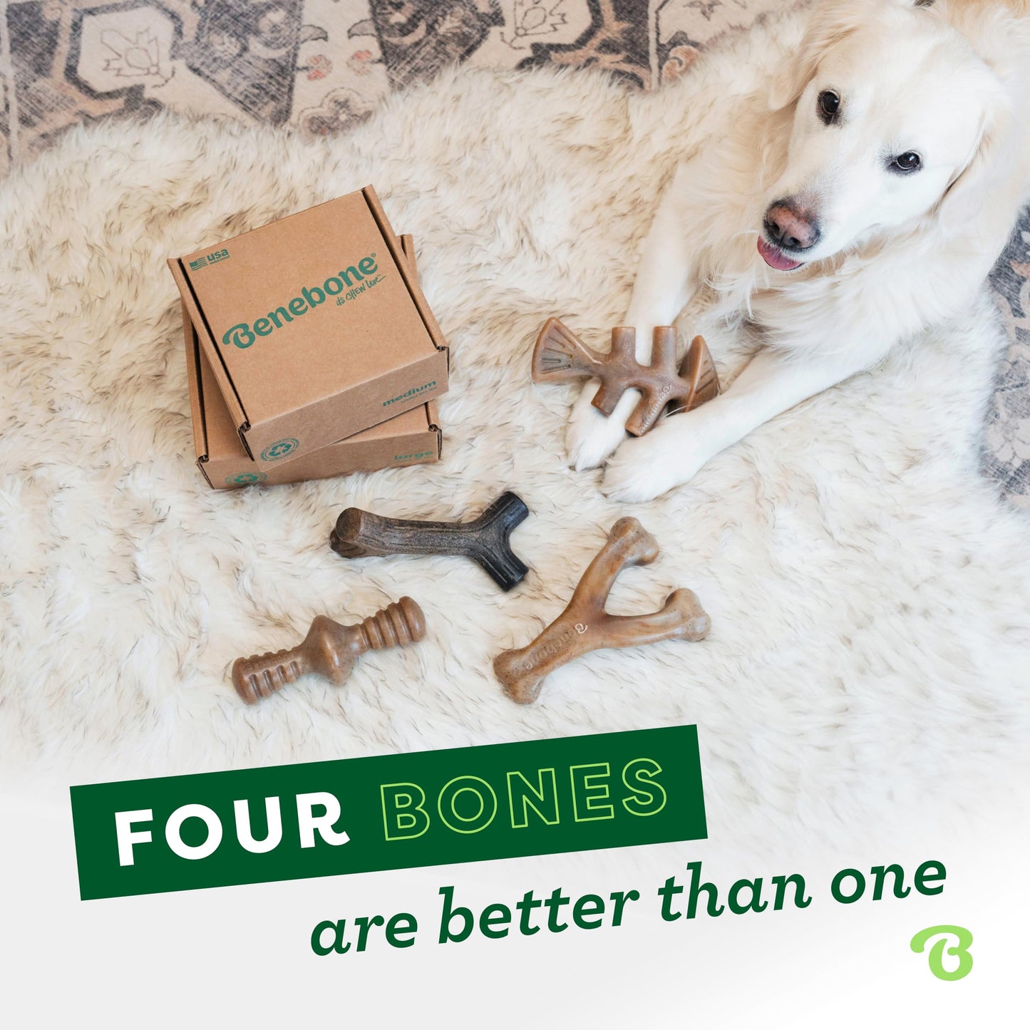 Benebone Medium 4-Pack Dog Chew Toys for Aggressive Chewers, Made in USA