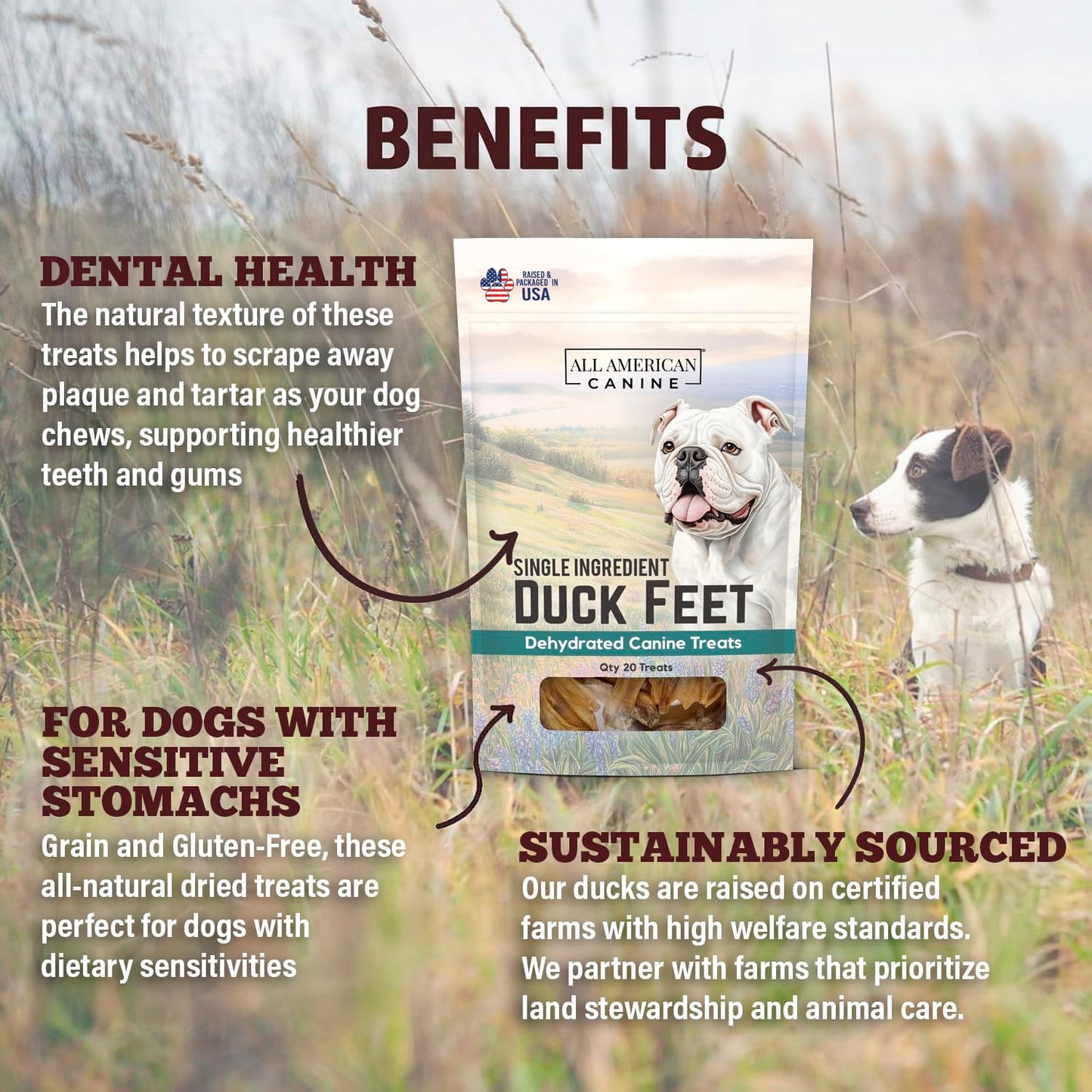 All American Canine 20 Natural Duck Feet Dog Treats – Single Ingredient, Dehydrated & Digestible – Crunchy, Low-Fat, High-Protein Chew for Joint Support & Dental Health – Made in USA
