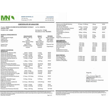 Dr Brad Stanfield Daily Low Dose MultiVitamin & Mineral for Men & Women to Support Cognitive Performance & Memory + Hyaluronic Acid for Skin Health + TMG for Exercise (150 Count)