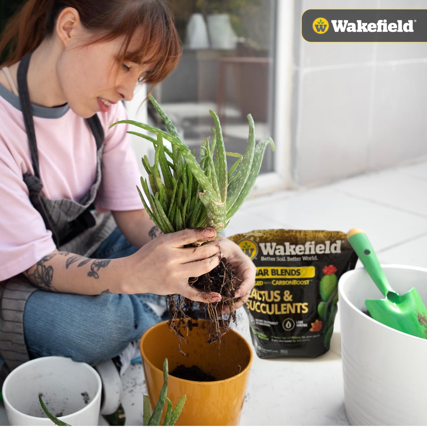 Wakefield Biochar Blend Potting Mix for Cactus & Succulent – Premium Potting Soil Blend with CarbonBoost Technology for Superior Drainage, Moisture Retention & Root Growth – 2 QT Organic Soil Mix