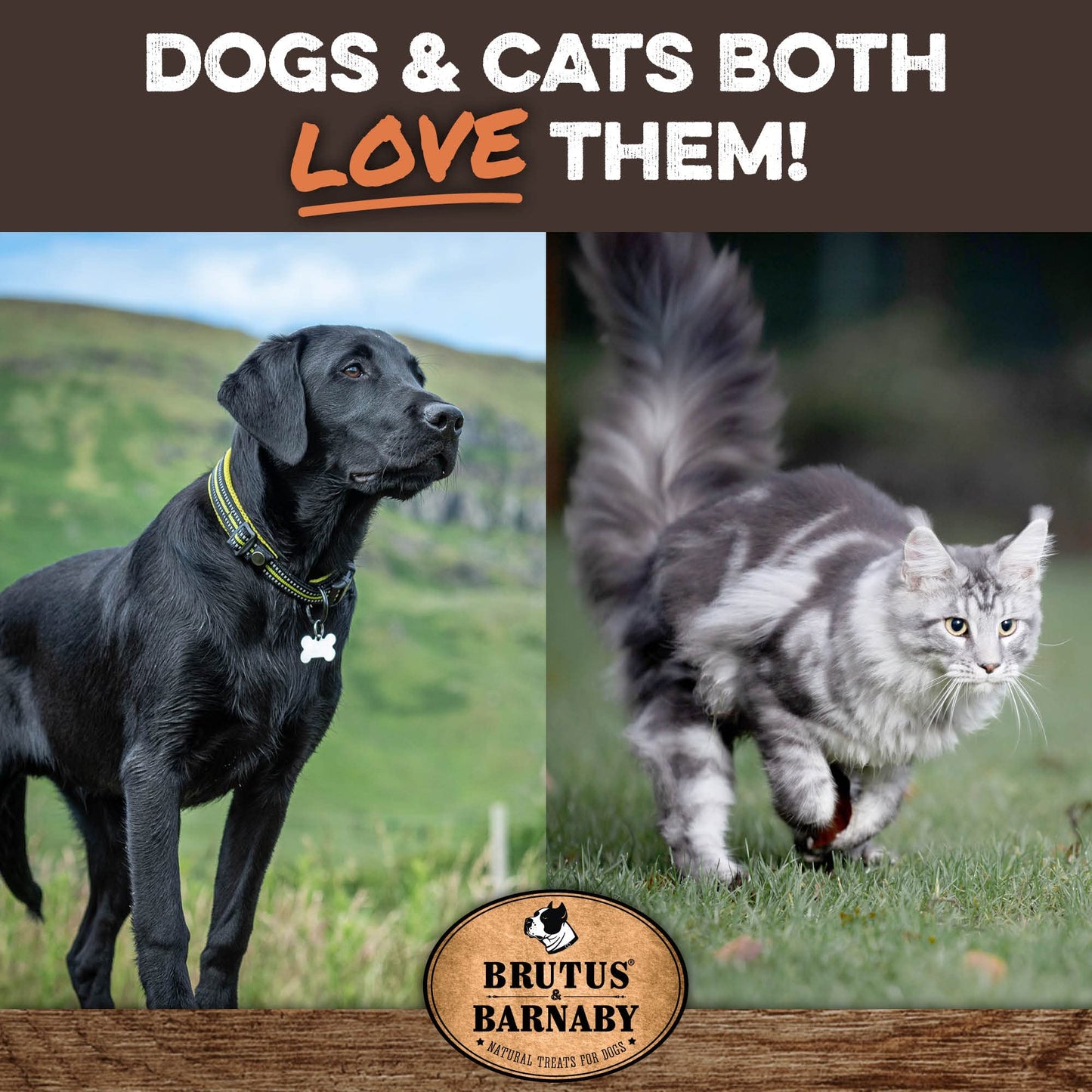 BRUTUS & BARNABY Beef Meat Sticks for Dogs - Thick & Hearty Beef Liver & Lung Dog Treat Made in USA - Protein Packed, Crunchy, Healthy Dog Treats - Grain Free, Rawhide Free, No Additives