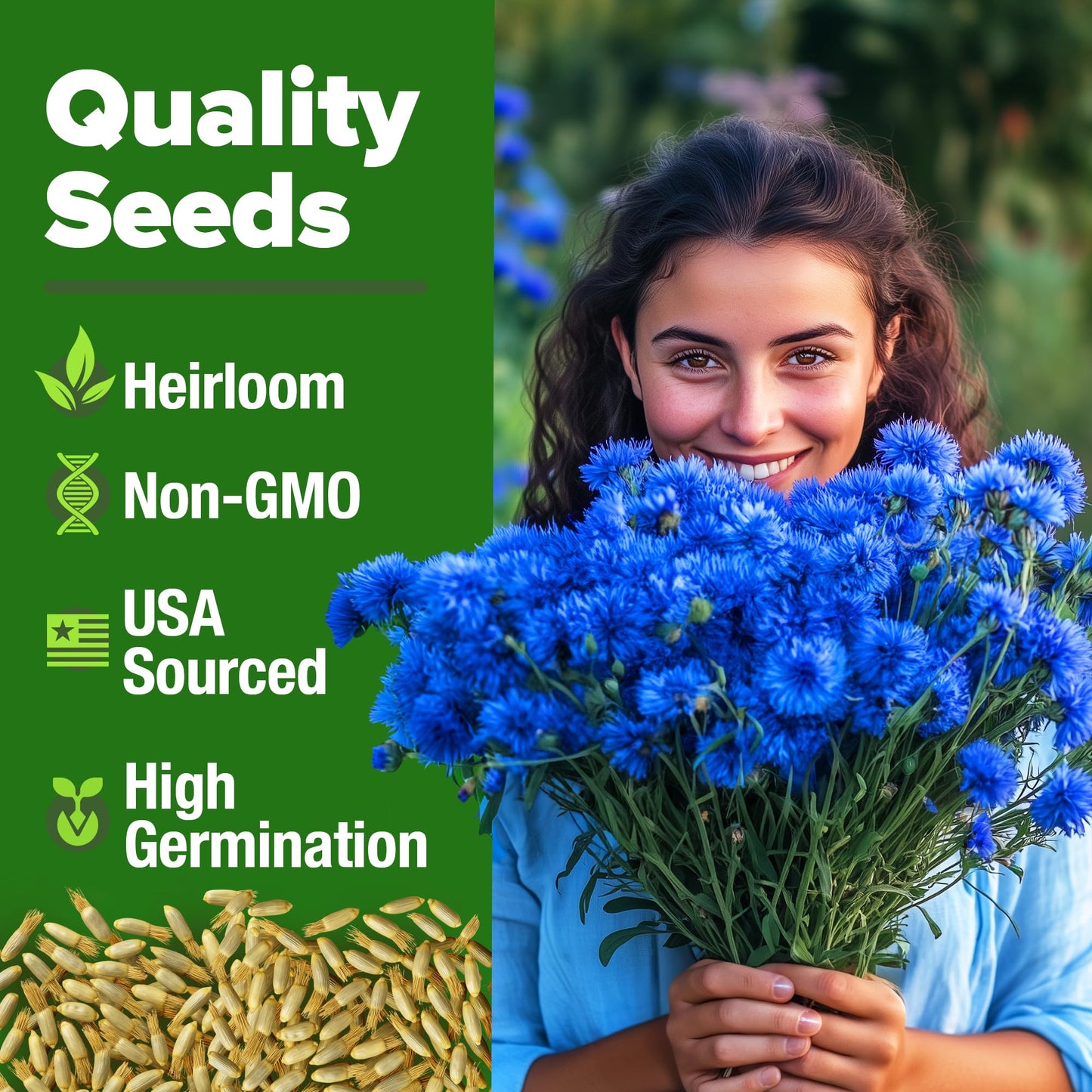 HOME GROWN Bachelor Button Seeds Tall Blue - 6000 Cornflower, Stunning Blue Blooms for Wildflower Gardens, Non-GMO Flowers & Pollinator-Friendly Spaces, Low Maintenance Flower Seeds (Centaurea cyanus)