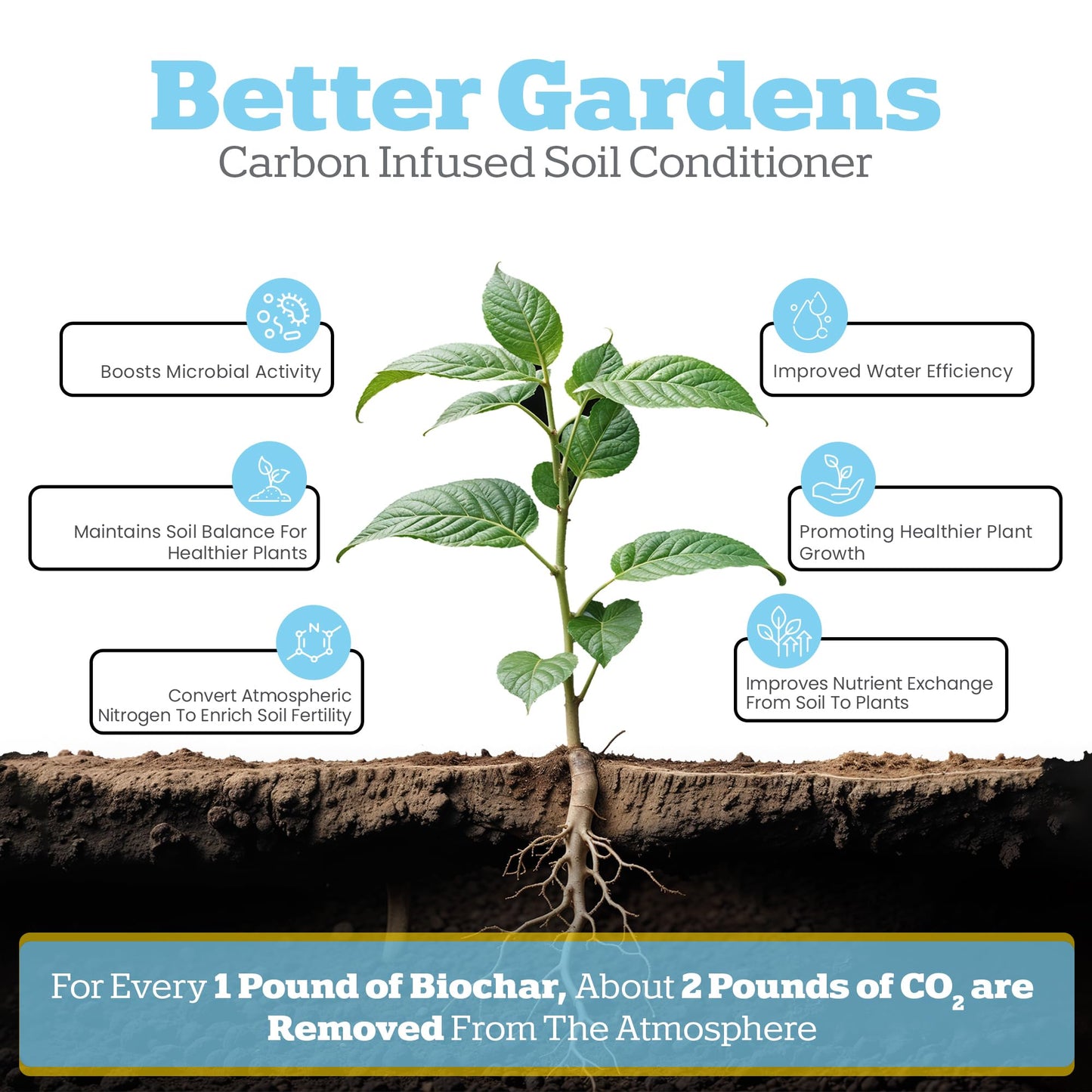 Wakefield Premium Indoor Potting Soil - Professional Biochar & Probiotics with CarbonBoost Technology - Ultimate Organic Potting Mix for Indoor & Outdoor Plants, Succulents & House Plants - 4Quarts