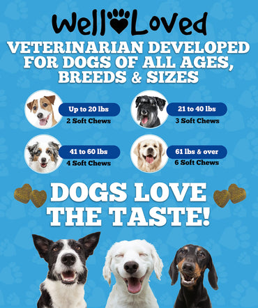 Well Loved Dog Allergy Chews - Dog Allergy Relief, Itching Skin Relief, Hot Spot Treatment & Seasonal Allergies, Vet Developed, Anti Itch Skin Irritation Treatment, Made in USA, 120 Chews