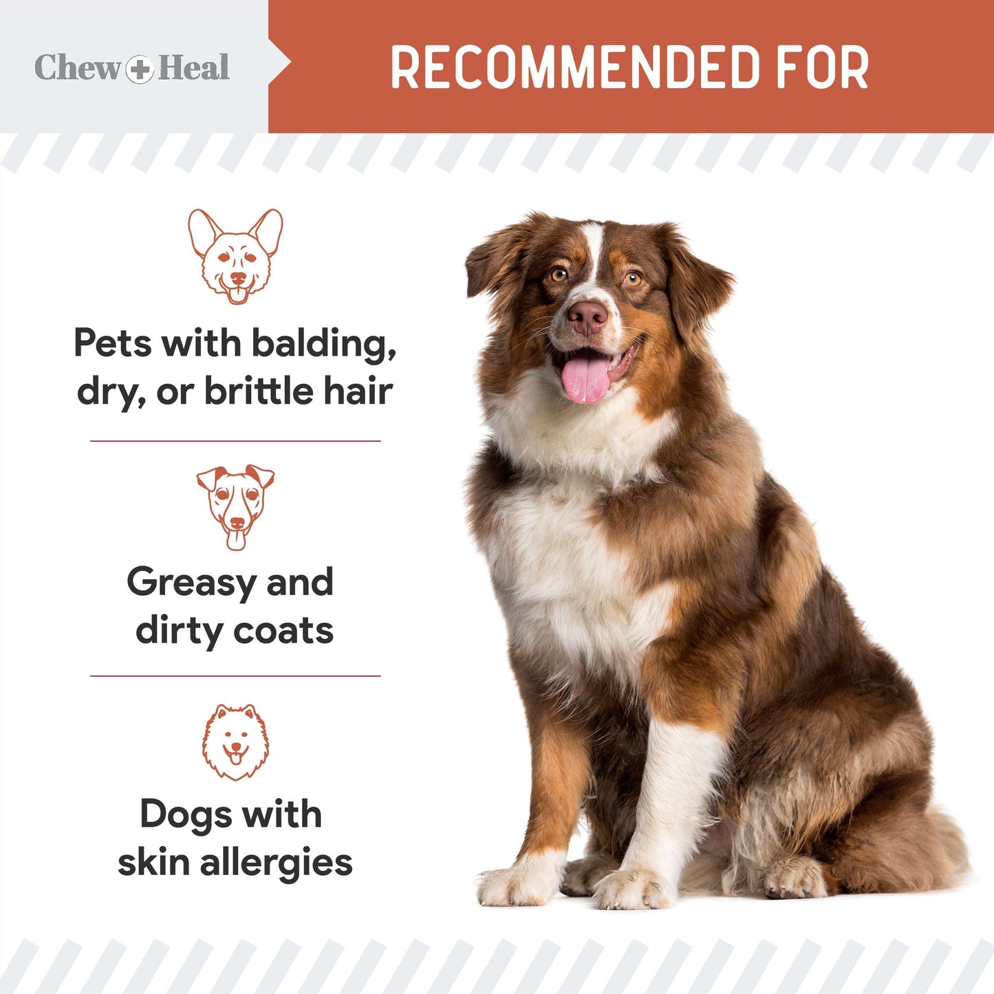 Salmon Oil for Dogs - Soft Chew Omega Treats for Skin and Coat - Fish Oil Blend of Essential Fatty Acids, Omega 3 and 6, Vitamins, Antioxidants and Minerals - Made in USA