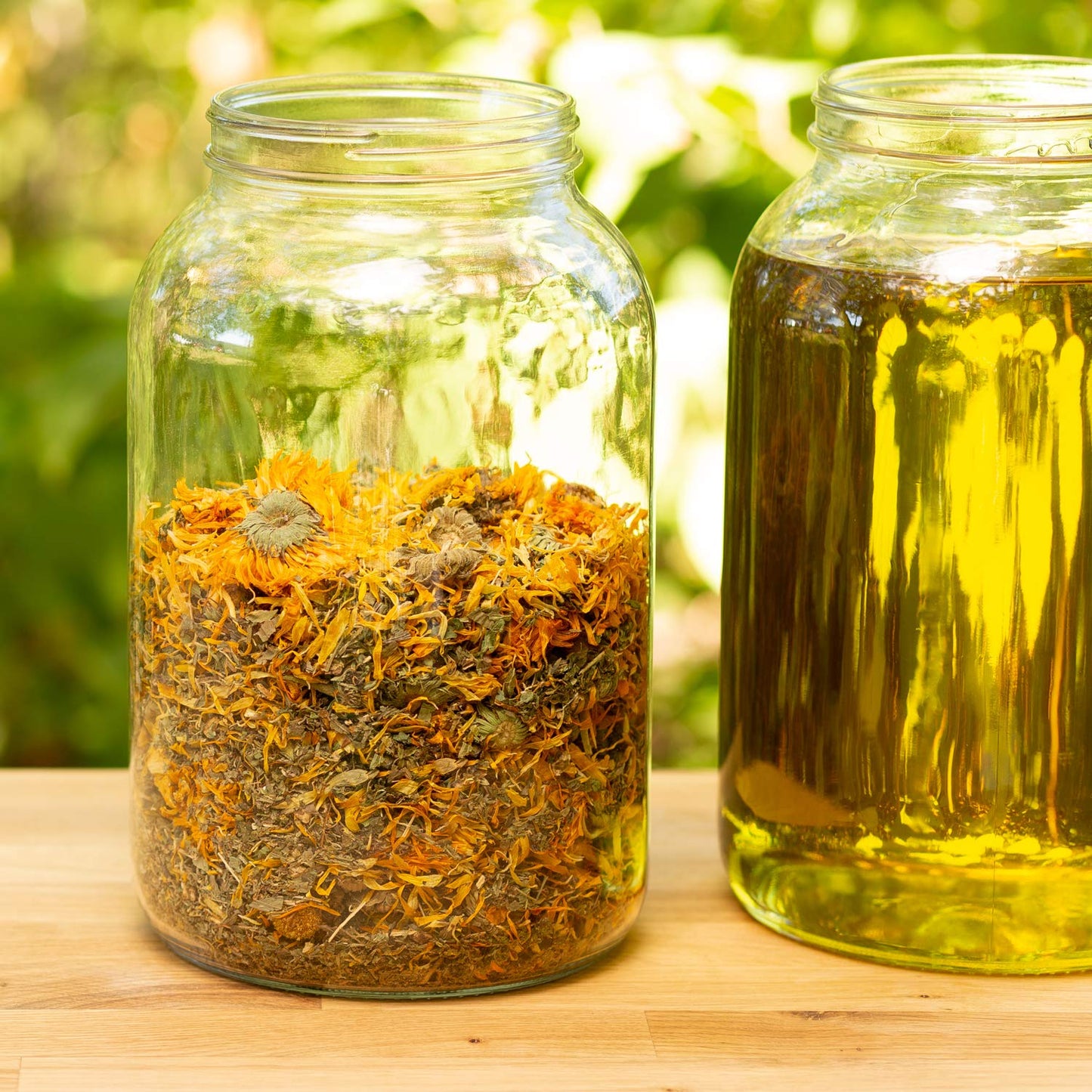 Unscented Body Oil Travel Size With Pump, Fragrance Free Massage Oil, Moisturizing Body Oils for Men and Women, Grapeseed Oil for Skin, Jojoba & Apricot with Calendula,