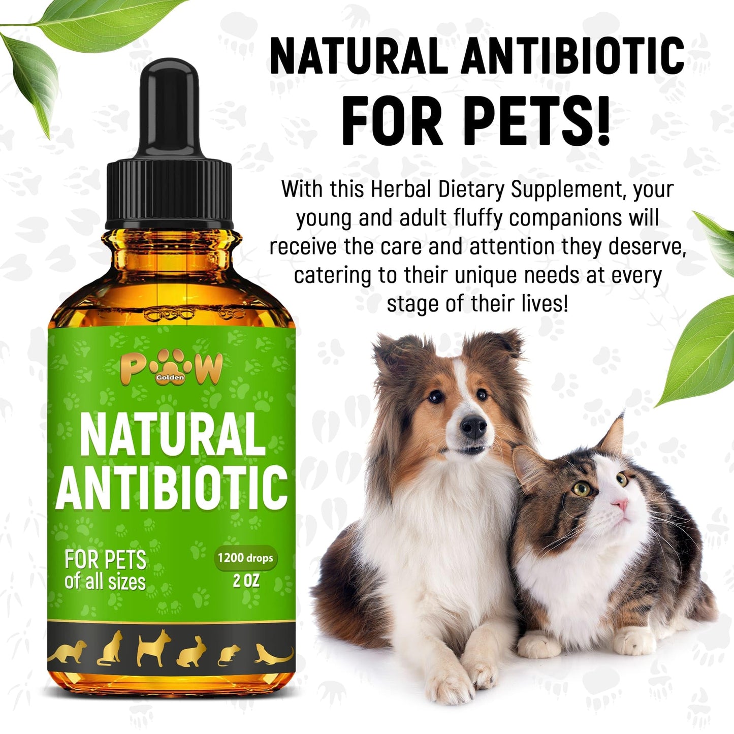 Dog Antibiotics for Infection, Coughs, UTIs, Allergies, Itching | Natural Antibiotics for Cats to Support Skin, Coat, & Digestion | for All Breeds & Ages | 2 oz