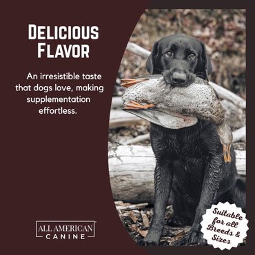 All American Canine Dog Weight Gainer – High Calorie Dog Food Supplement & Protein Powder for Rapid Weight Gain, Mass, and Recovery – Appetite Stimulant – 60 Servings