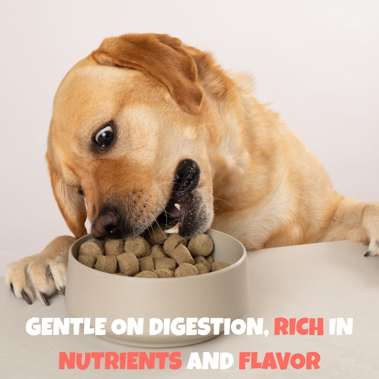 Visionary Pet Foods Beef Freeze Dried Real Meat Dog Treats, 310x Healthy Treats, Low Carb, Grain Free – Organic, Human Grade Food, Freeze Dried Dog Training Treats, Value Size 25oz