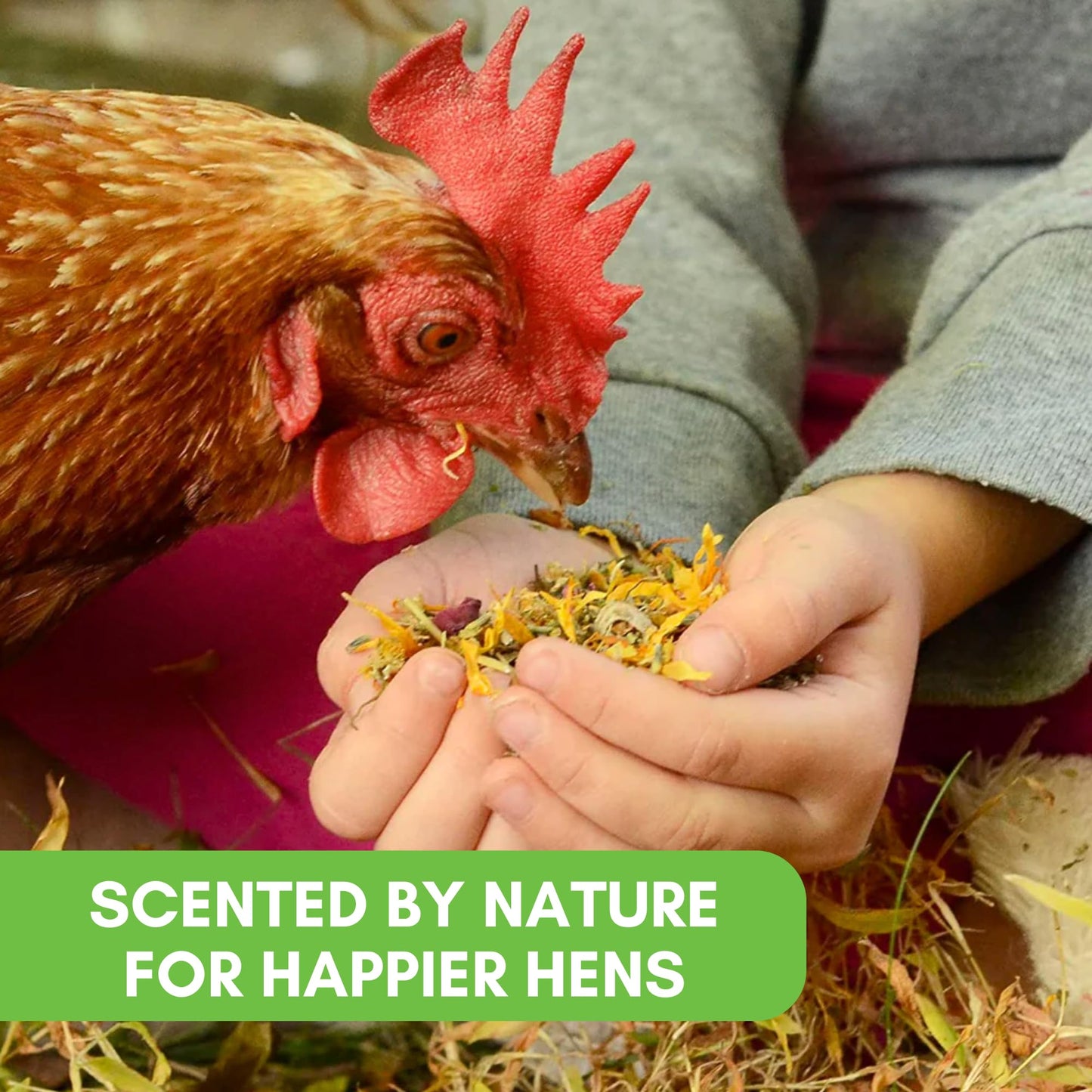 Farm Party Herbal Hootenanny Chicken Nesting Herbs 8oz - Chicken Dust Bath Mix Deodorizer Keeps Nest Boxes & Coop Fresh - Chicken Coop Herbs - Chicken Accessories for Coops