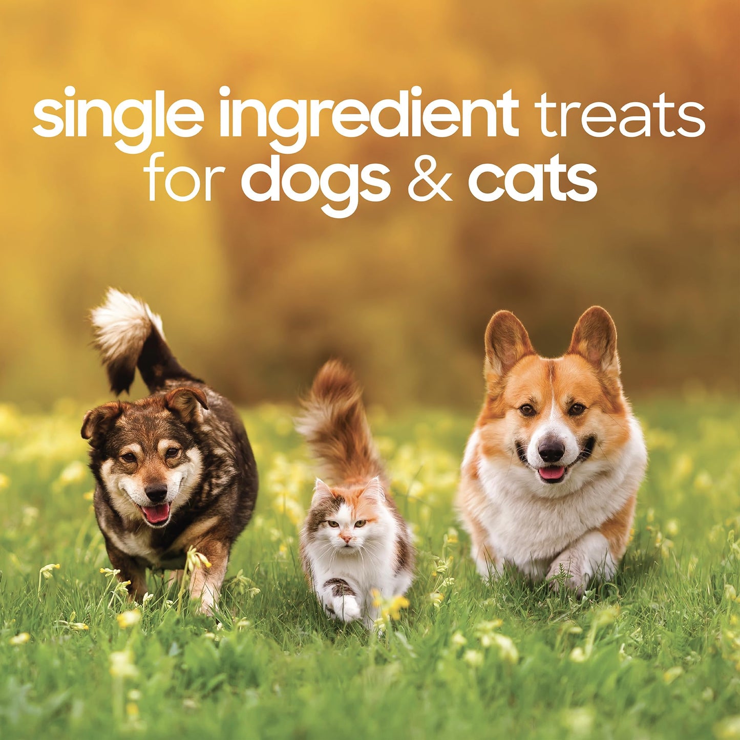 smallbatch Freeze Dried Dog Treats, Beef Liver Treats for Dogs & Cats, High Protein, Single Ingredient Dog Treat for Training or Food Topper, Natural, Humanely Sourced Meat, Made in The USA, 4 oz