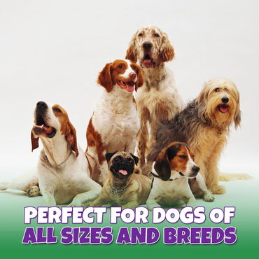 Lively Tails Trachea Dog Chews 15-Pack, 100% Bison Dog Treats, Natural Glucosamine & Chondroitin for Hip and Joint Support, Grain-Free, Rawhide-Free, Low-Fat Trachea for Dogs, 12 oz Bag