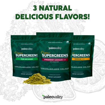 Paleovalley Organic Supergreens - Organic Greens Powder Superfood for Immune Support - Paleo Green Powder Blend - 28 Servings - 23 Organic Superfoods - Gluten Free, No Cereal Grasses, Soy or Grain