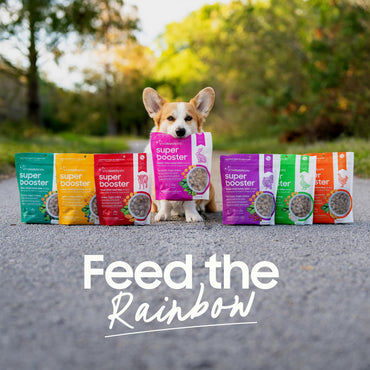 smallbatch Freeze Dried Dog Treats, Superfood Food Topper Beef Bites for Dogs & Cats, Probiotics, Organic Ingredients, High Protein, Grain Free Healthy Treat Food Topper, Made in The USA, 7 oz Bag