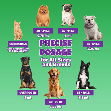 Natural Dog & Cat UTI Treatment with Cranberry & D-Mannose, Bladder, Kidney, Incontinence Support, Healthy Urinary Tract for Dogs, Best Cat Urinary Tract Infection Treatment, Easy-to-Use Drops, 2 oz