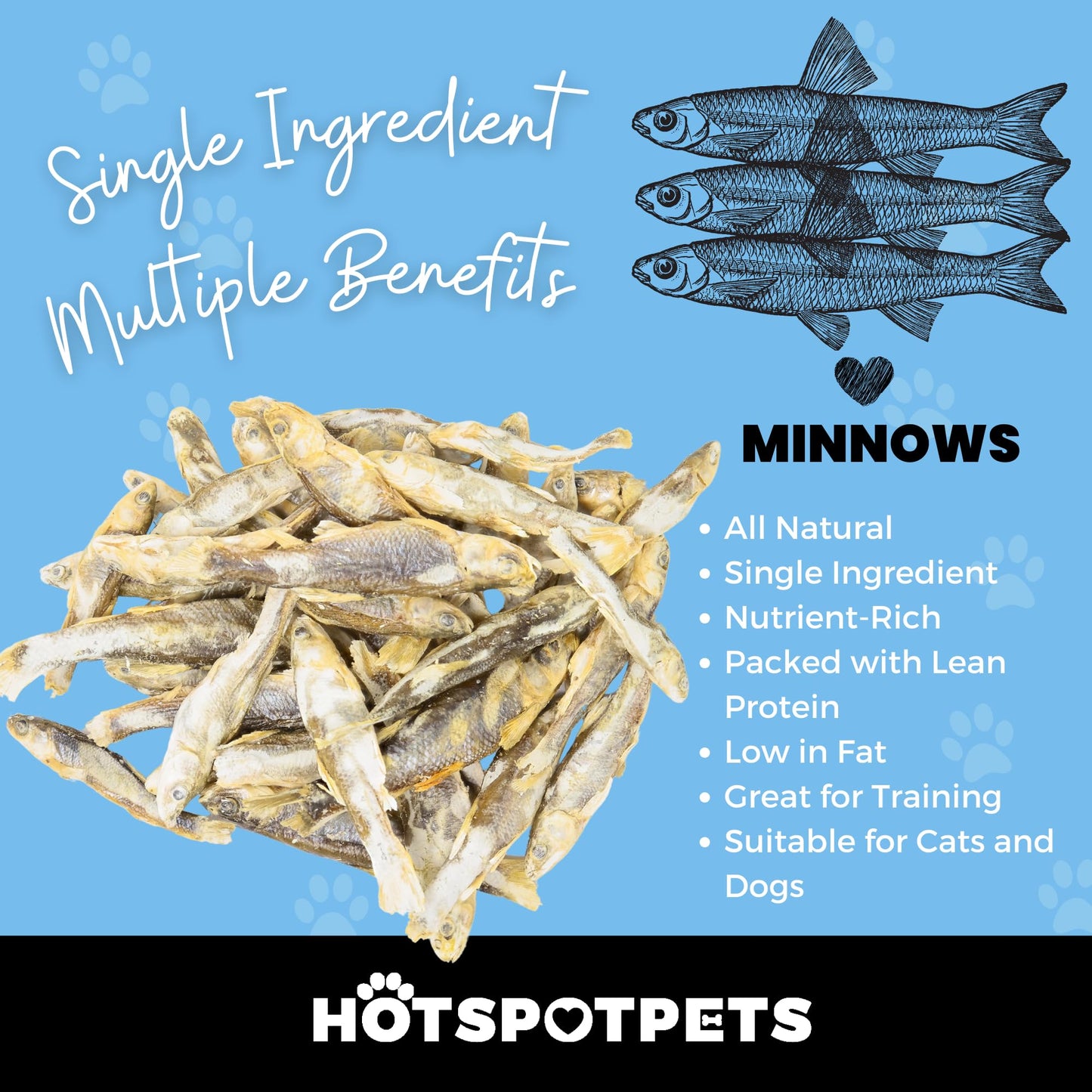 hotspot pets Freeze Dried Minnows - Healthy Treats for Cats & Dogs -1 Pound Big Bag (Made in USA) All Natural, High Protein, Rich in Omega-3s, Grain-Free,Perfect for Training, Topper or Snack