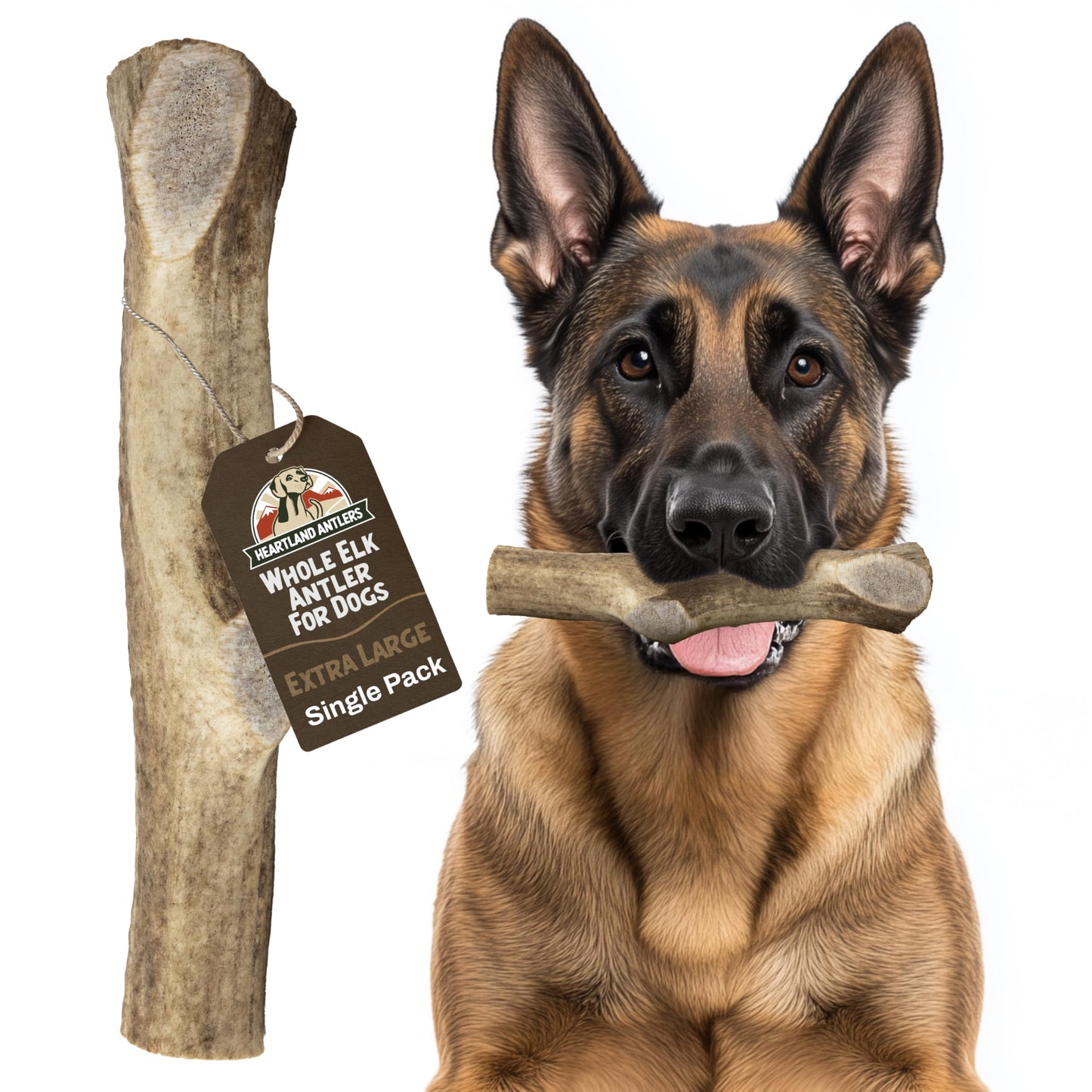 Heartland Elk Antlers for Dogs (Whole Elk, 8+", X-Large, 1-Pack) – Grade A, Naturally Shed | Safe, Long-Lasting Chew for Aggressive Chewers & Puppies | USA Made | Splinter-Free | Veteran Owned