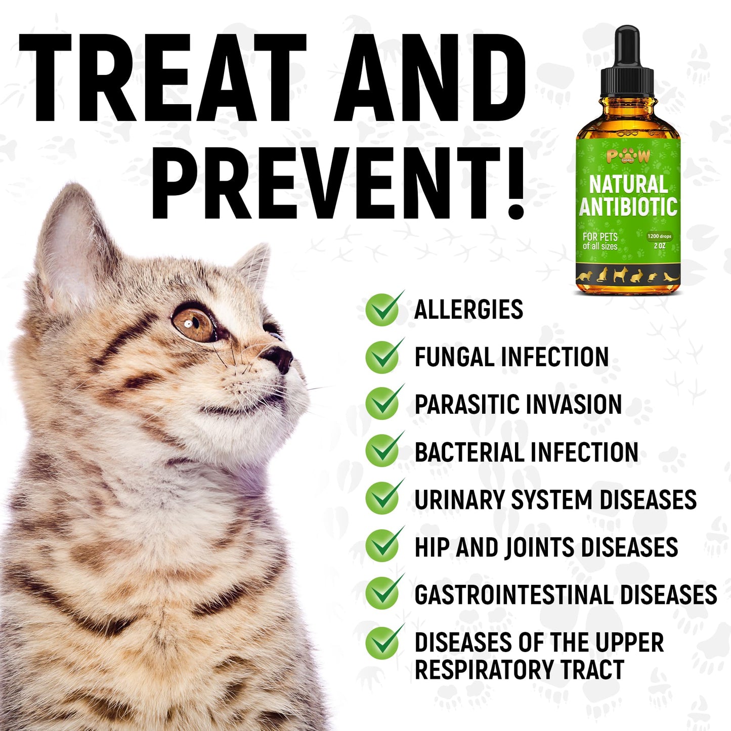 Dog Antibiotics for Infection, Coughs, UTIs, Allergies, Itching | Natural Antibiotics for Cats to Support Skin, Coat, & Digestion | for All Breeds & Ages | 2 oz