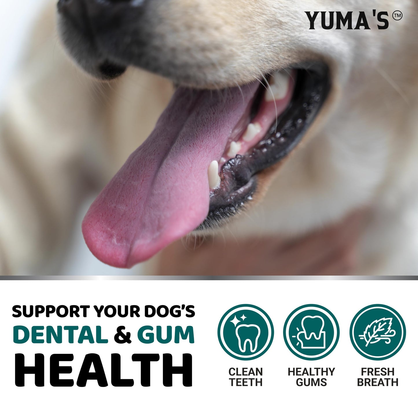 Dog Dental Powder - Breath Freshener - Dog Teeth Cleaning Powder - Tartar and Plaque Off Remover for Dogs - Probiotics - Multivitamin Blend Pet Oral Care Vitamins and Supplements - All Breeds & Sizes