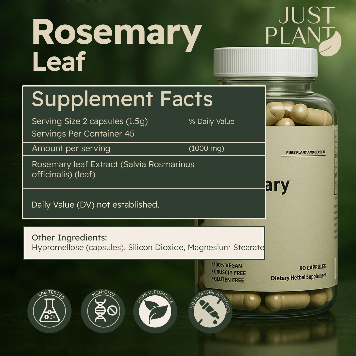 Rosemary Leaf Extract 500mg, 90 Vegan Capsules, Herbal Supplement for Memory, Focus, Digestion, Inflammation & Hair Health, Gluten-Free, Plant-Based