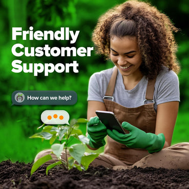 HOME GROWN Bachelor Button Seeds Tall Blue - 6000 Cornflower, Stunning Blue Blooms for Wildflower Gardens, Non-GMO Flowers & Pollinator-Friendly Spaces, Low Maintenance Flower Seeds (Centaurea cyanus)