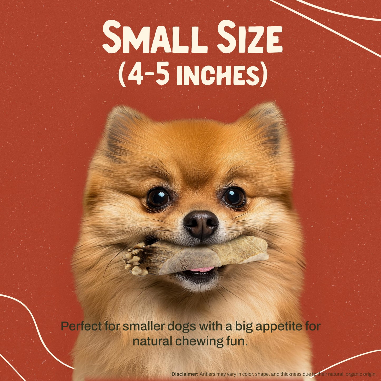 Heartland Elk Antlers for Dogs (Split Elk, 4–5", Small, 2-Pack) – Grade A, Naturally Shed | Safe, Durable Chew for Aggressive Chewers & Puppies | Splinter-Free | USA Made | Veteran Owned