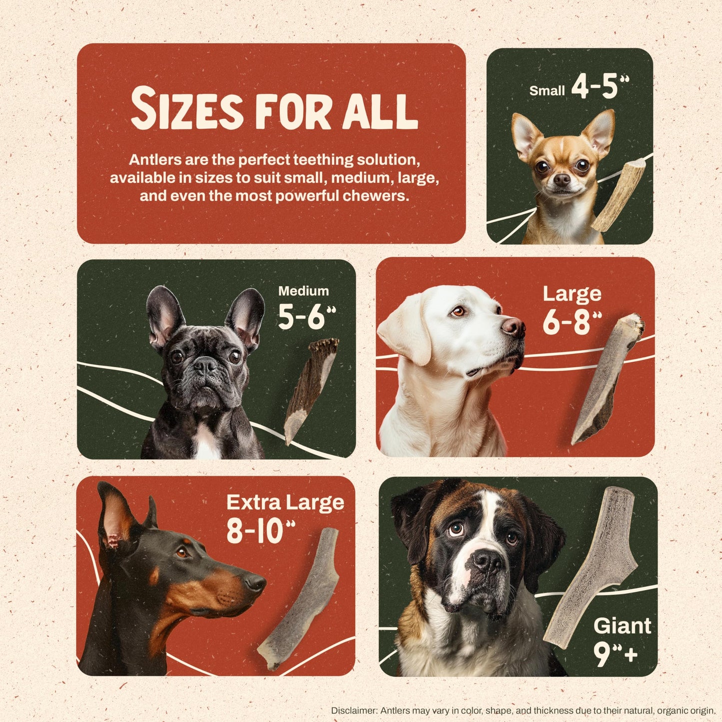 Heartland Elk Antlers for Dogs (Split Elk, 4–5", Small, 2-Pack) – Grade A, Naturally Shed | Safe, Durable Chew for Aggressive Chewers & Puppies | Splinter-Free | USA Made | Veteran Owned