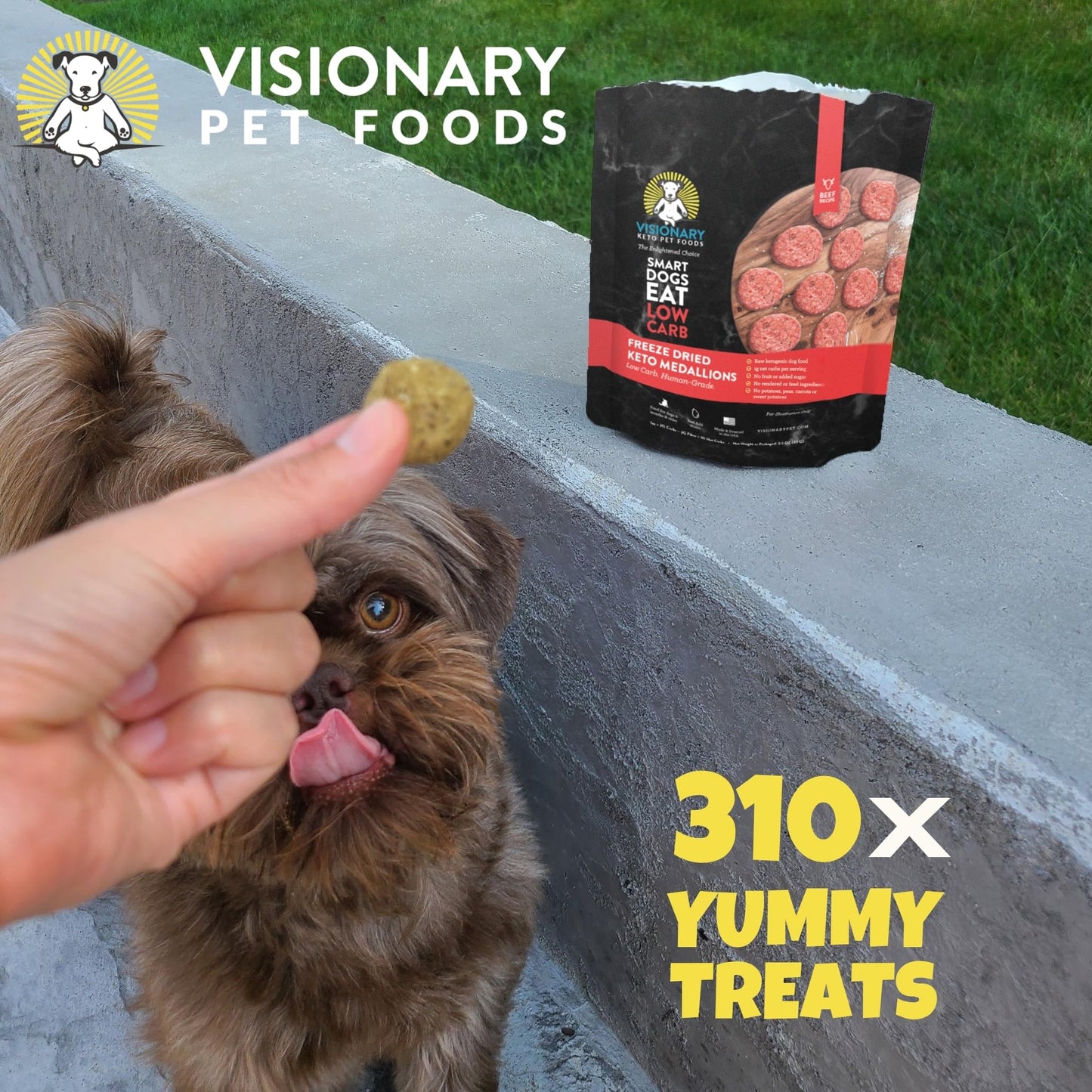 Visionary Pet Foods Beef Freeze Dried Real Meat Dog Treats, 310x Healthy Treats, Low Carb, Grain Free – Organic, Human Grade Food, Freeze Dried Dog Training Treats, Value Size 25oz