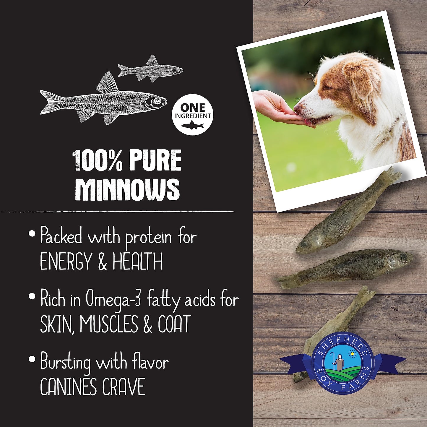 Shepherd Boy Farms Freeze Dried Dog and Cat Treats, Minnows, All Natural Single Ingredient Freeze-Dried Dog Treat & Snacks, Made in USA, High in Protein, Essential Nutrition of Raw Food, 5oz