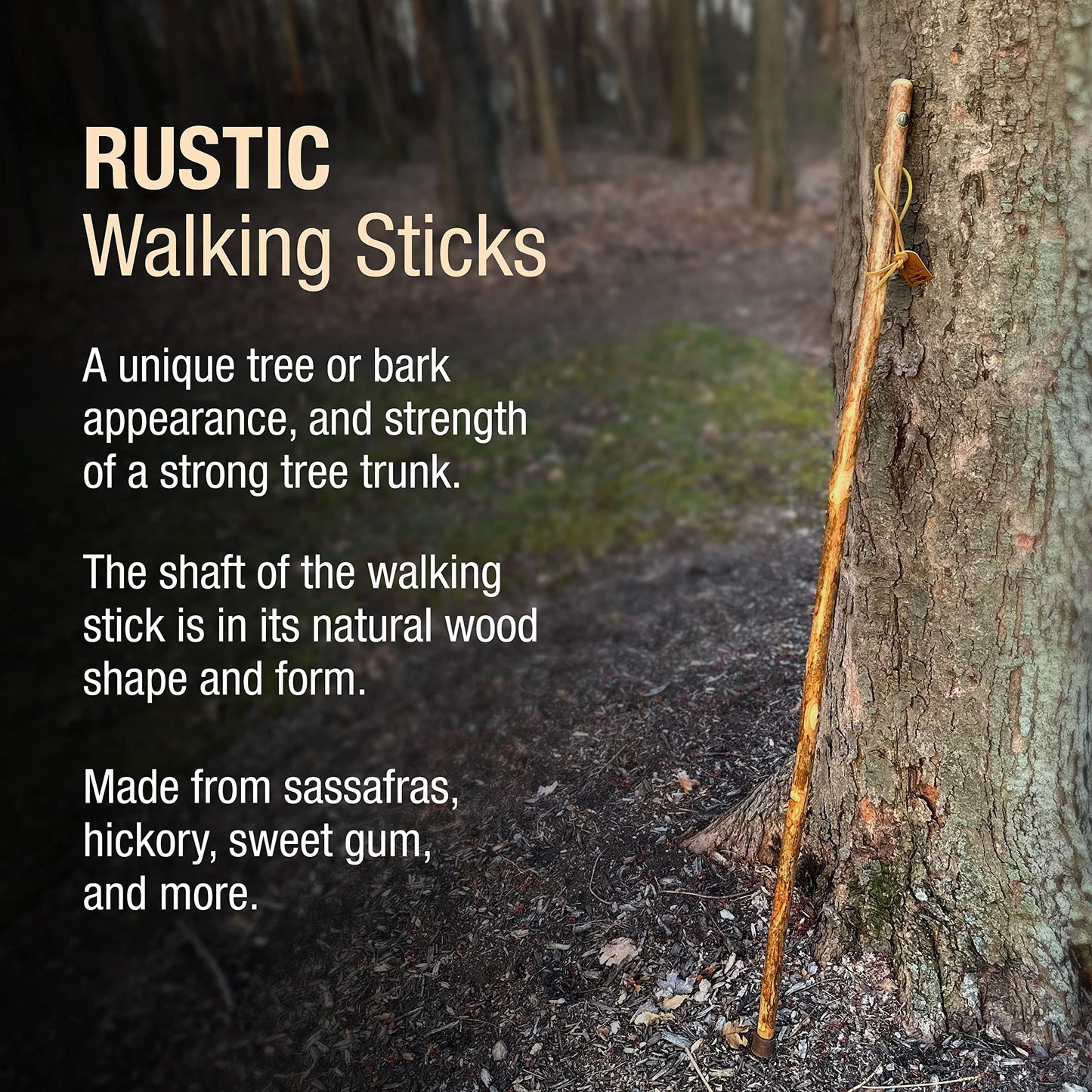 Brazos 48" Handcrafted American Hardwood Walking Stick for Men and Women, Made in The USA