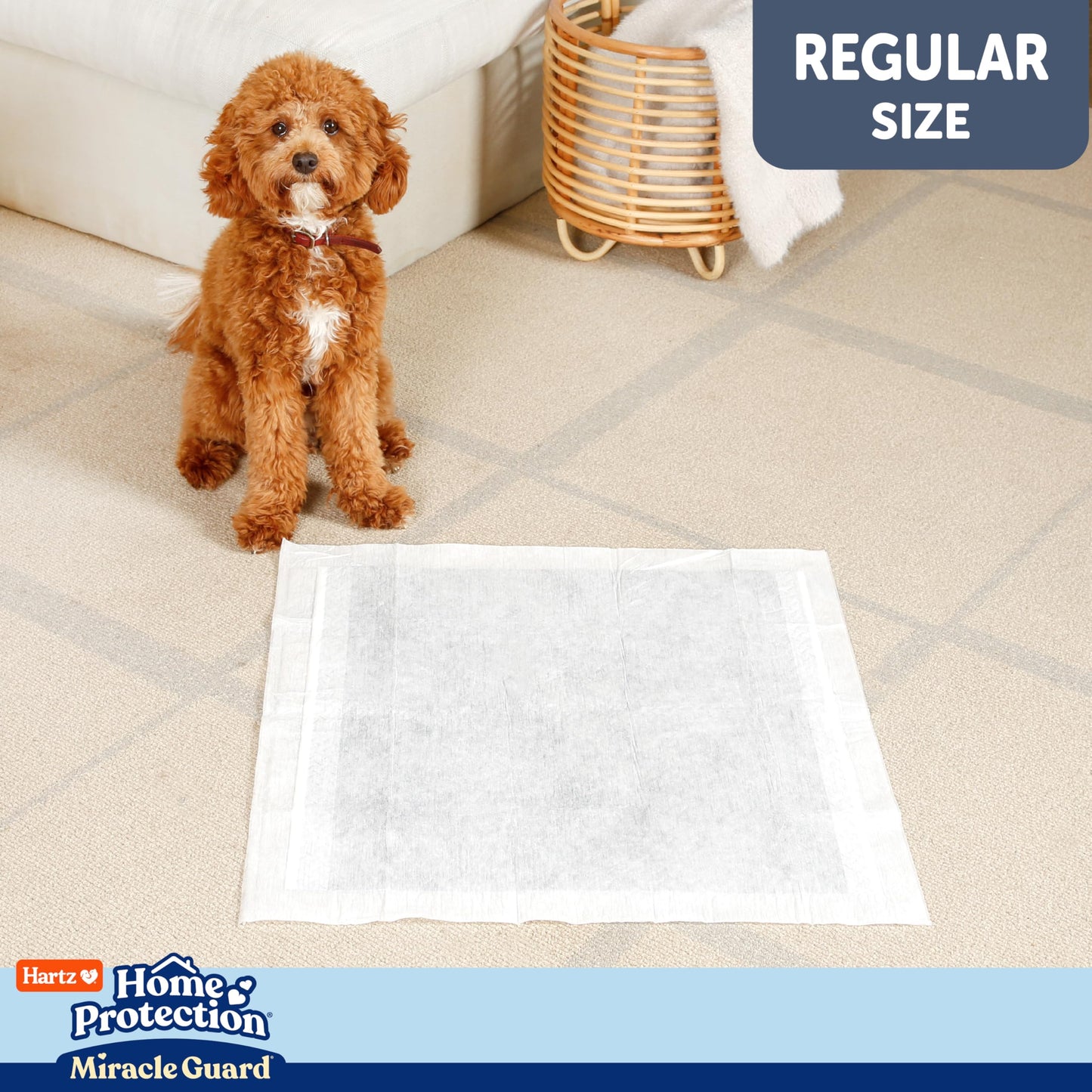 New! Hartz Home Protection Miracle Guard USA Made Dog Pads, Regular Size 50 Count, 3X Absorbency & 3X Longer use, Won't Leak and Odor Eliminating