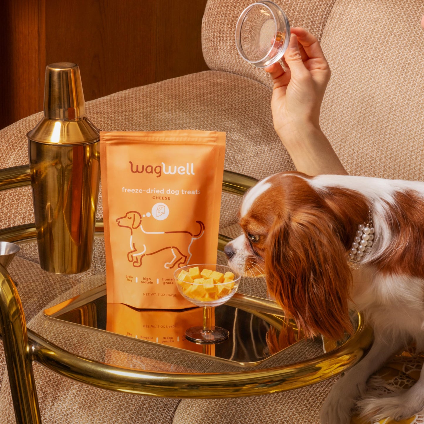 WagWell Freeze Dried Cheese Dog Treats - Grain-Free, High-Protein Pasteurized Dog Treats Made in The USA - Human-Grade, Minimally Processed & Preservatives Free