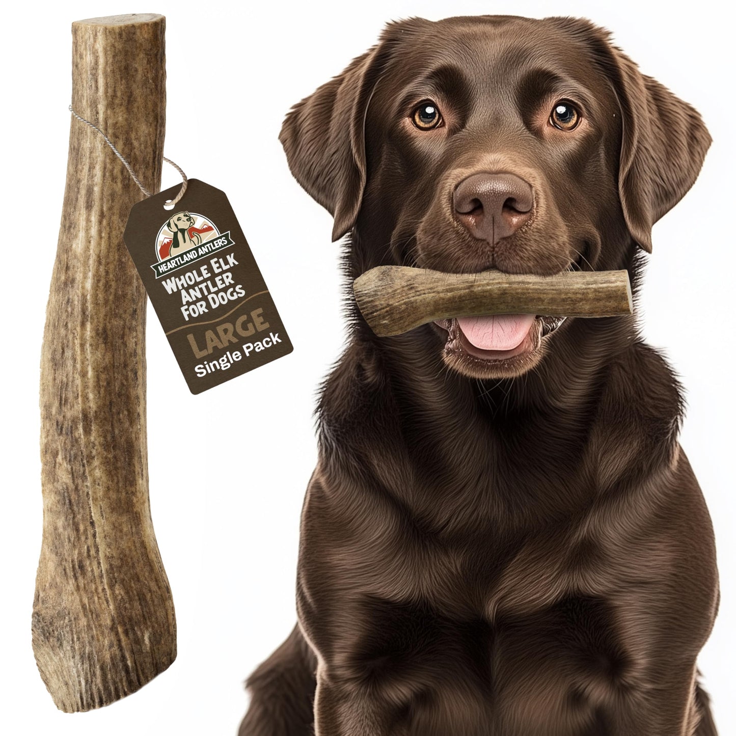 Heartland Elk Antlers for Dogs (Whole Elk, 7", Large, 1-Pack) – Grade A, Naturally Shed | Long-Lasting, Safe Chew for Aggressive Chewers & Puppies | Splinter-Free | USA Made | Veteran Owned