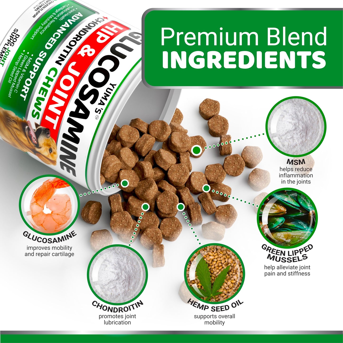 YUMA'S Glucosamine for Dogs - Hip and Joint Supplement for Dogs - Glucosamine Chondroitin Chews - Joint Pain Relief Supplement with MSM - Advanced Health - Mobility Support - Made in USA