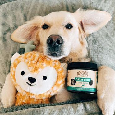 Organically Sourced Hemp Well Calm Dog Soft Chews - Anxiety Relief Treats for Dogs, Helps with Separation Anxiety and Travel, Melatonin and Hemp Dog Calming Chews (1 Pack (30 Chews))