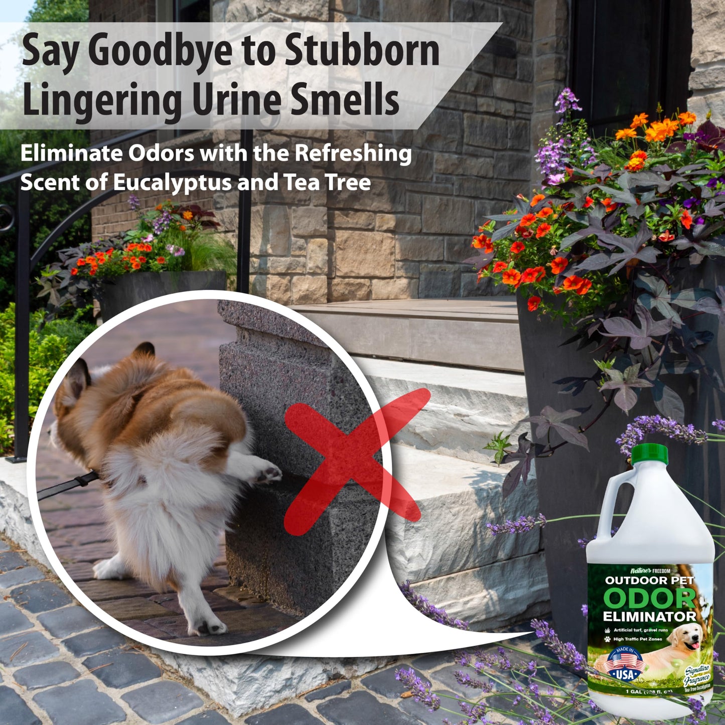 Nature’s Freedom Concentrated Enzymes Outdoor Odor Eliminator, Turf and Yard Cleaner for Pet Urine, Deodorizer for Dog & Cat Waste & Smells, Makes 5 to 64 Gallons, Use on Grass, Patios, Kennels