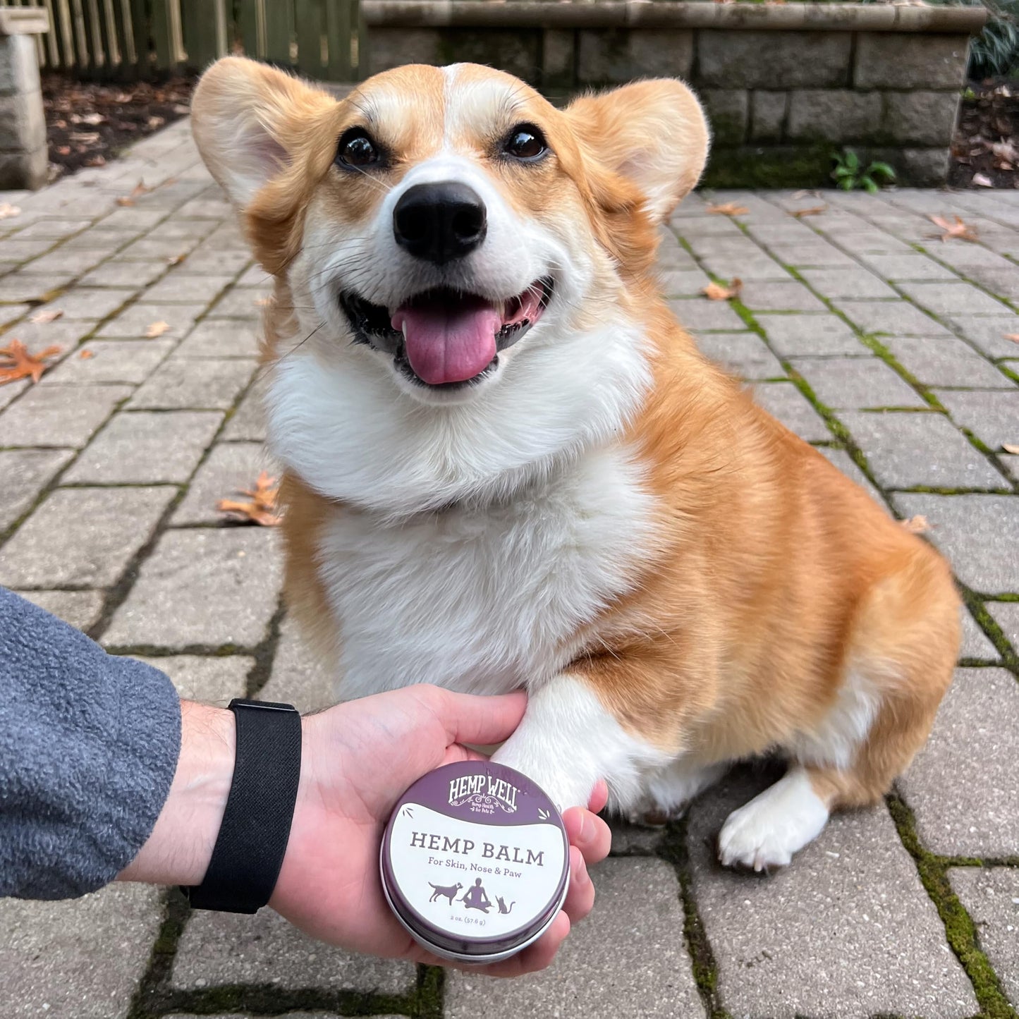Hemp Well New Hemp Balm for Pets and People - Organic Pet Balm, Dogs and Cats, Human - Relieves Dryness and Cracking for Paws, Skin, and Nose, 2 oz.