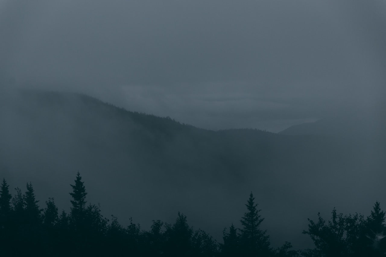 Pomfret (Country Chino)