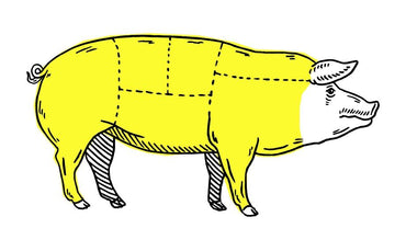 meat location illustration