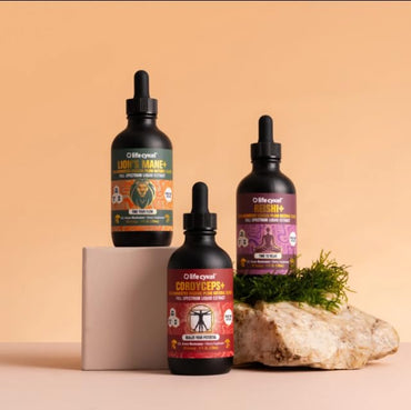 Life Cykel Professional Athletes Pack - Reishi, Lions Mane & Cordyceps Mushroom Extract- Full-Spectrum Mushroom Tincture for Energy, Focus and Immune Health- Vegan, Non-GMO Formula