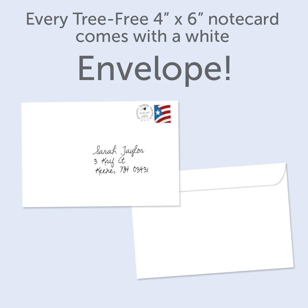 Tree-Free Greetings - Season's Greeting Card - Artful Designs - 12 Cards + White Envelopes - Made in USA - 100% Recycled Paper - 4 x 6 - Holy Night (FS93463)