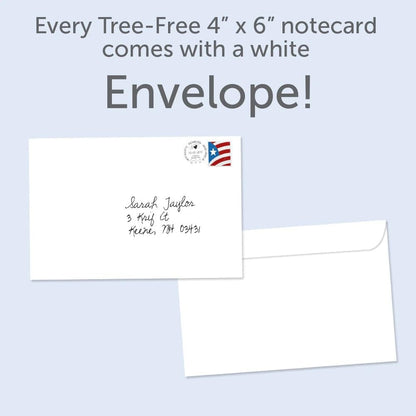 Tree-Free Greetings - Season's Greeting Card - Artful Designs - 12 Cards + White Envelopes - Made in USA - 100% Recycled Paper - 4 x 6 - Holy Night (FS93463)