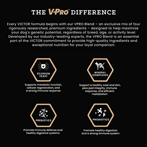 VICTOR Super Premium Dog Food – Hi-Pro Plus Dry Kibble – High Protein Dog Food with 30% Protein – Beef, Chicken, Pork, Fish Meals, Gluten Free - for High Energy and Active Dogs & Puppies, 15lbs