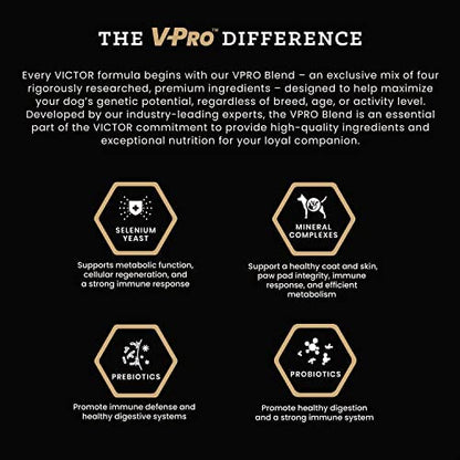 VICTOR Super Premium Dog Food – Hi-Pro Plus Dry Kibble – High Protein Dog Food with 30% Protein – Beef, Chicken, Pork, Fish Meals, Gluten Free - for High Energy and Active Dogs & Puppies, 15lbs