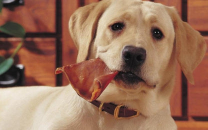 Pawfetto Premium Natural Whole Pig Ears, Easily Digestible Non-Rawhide Dog Chews, Long-Lasting Treats, Snacks for Dogs (Pack of 6)