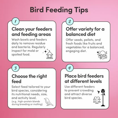 Mycelium Organic Pet Bird Premier Bird Seed (5 LBS) | Premium Food for Parrots, Cockatoos, & Large Birds | High-Protein, Vitamin-Fortified, Growth & Development Support | USA Made, Non-GMO