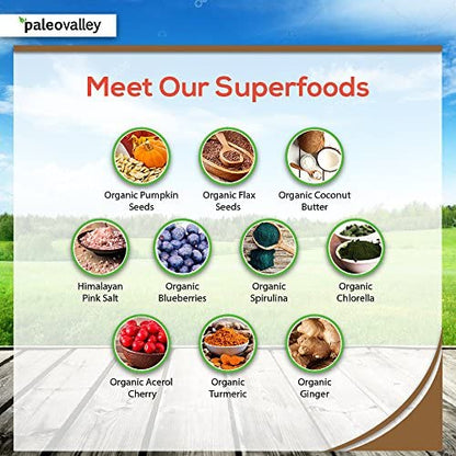 Paleovalley: Superfood Bars with Grass Fed Bone Broth Protein - Dark Chocolate Chip - 12 Bars - All Organic Ingredients with 10 Antioxidant-Rich Superfoods - No Gluten, Grains, Soy or Added Sugar